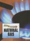 Natural Gas - 9780737735987 by Carrie Fredericks, 9780737735987