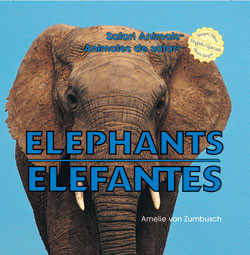Elephants / Elefantes by Amelie von Zumbusch, 9781404276055