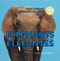 Elephants / Elefantes (Bilingual Edition) by Amelie von Zumbusch, 9781404276055