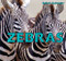 Zebras - 9781404236134 by Amelie von Zumbusch, 9781404236134