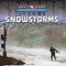 Snowstorms - 9780836879216 by Jim Mezzanotte, 9780836879216