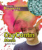 OxyContin Abuse by Suzanne Slade, 9781404219540