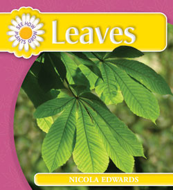 Leaves - 9781404237032 by Nicola Edwards, 9781404237032