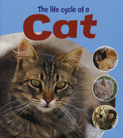 The Life Cycle of a Cat - 9781404237100 by Ruth Thomson, 9781404237100