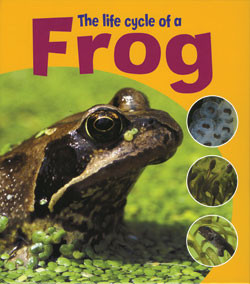 The Life Cycle of a Frog - 9781404237117 by Ruth Thomson, 9781404237117