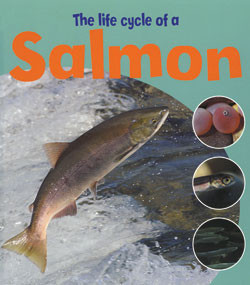 The Life Cycle of a Salmon - 9781404237124 by Ruth Thomson, 9781404237124