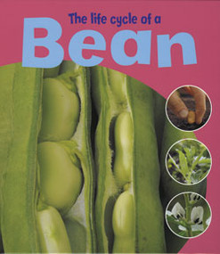 The Life Cycle of a Bean by Ruth Thomson, 9781404237148