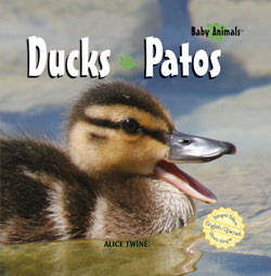 Ducks / Patos (Bilingual Edition) by Alice Twine, 9781404276338
