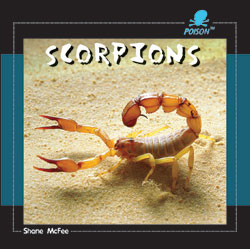 Scorpions - 9781404237940 by Shane McFee, 9781404237940