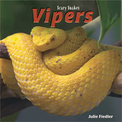 Vipers - 9781404238336 by Julie Fiedler, 9781404238336