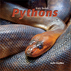 Pythons - 9781404238350 by Julie Fiedler, 9781404238350