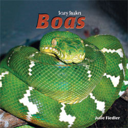 Boas by Julie Fiedler, 9781404238367