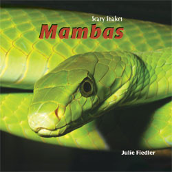 Mambas - 9781404238381 by Julie Fiedler, 9781404238381
