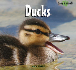 Ducks - 9781404237711 by Alice Twine, 9781404237711