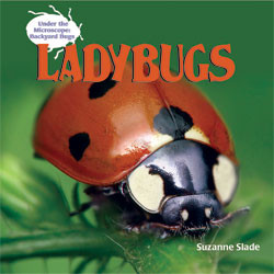 Ladybugs - 9781404238183 by Suzanne Slade, 9781404238183