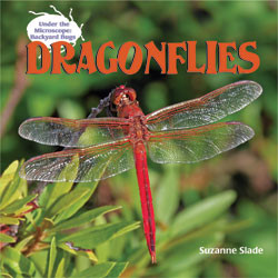 Dragonflies - 9781404238190 by Suzanne Slade, 9781404238190