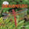 Dragonflies - 9781404238190 by Suzanne Slade, 9781404238190