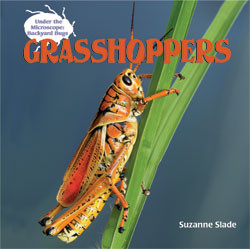Grasshoppers - 9781404238206 by Suzanne Slade, 9781404238206