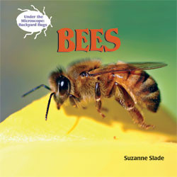 Bees - 9781404238220 by Suzanne Slade, 9781404238220