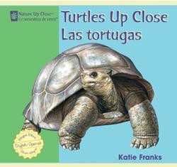 Turtles Up Close / Las tortugas by Katie Franks, 9781404276819