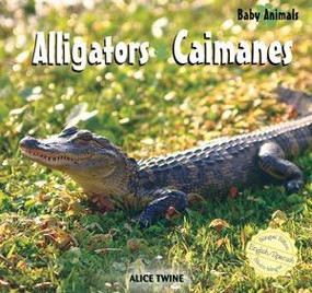 Alligators / Caimanes (Bilingual Edition) - 9781404276826 by Alice Twine, 9781404276826