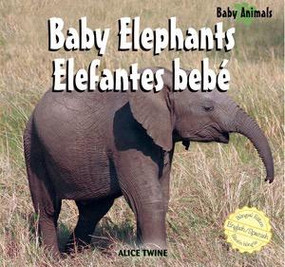 Elephants / Elefantes bebé (Bilingual Edition) by Alice Twine, 9781404276833