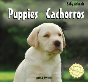 Puppies / Cachorros by Alice Twine, 9781404276871