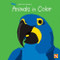Animals in Color by Sebastiano Ranchetti, 9780836888218