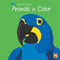 Animals in Color - 9780836888263 by Sebastiano Ranchetti, 9780836888263