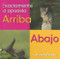 Arriba, Abajo (Up, Down) by Sharon Gordon, 9780761423690