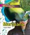 Marijuana - 9781404213746 by Jeanne Nagle, 9781404213746