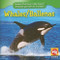 Whales / Ballenas - 9780836895797 by Valerie J. Weber, 9780836895797