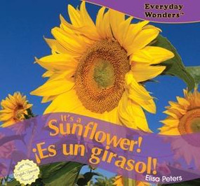 It's a Sunflower! / ¡Es un girasol! by Elisa Peters, 9781435825239