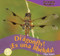 It's a Dragonfly! / ¡Es una libélula! (Bilingual Edition) by Elisa Peters, 9781435825253