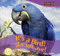 It's a Bird! / ¡Es un ave! by Elisa Peters, 9781435825260