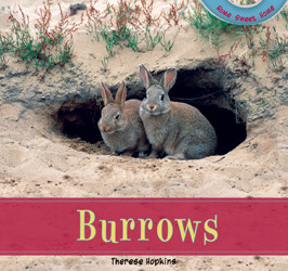 Burrows by Therese Hopkins, 9781435826977