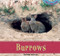Burrows by Therese Hopkins, 9781435826977