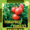 Tomatoes / Tomates (Bilingual Edition) by Inés Vaughn, 9781435827240