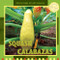 Squash / Calabazas (Bilingual Edition) by Inés Vaughn, 9781435827271