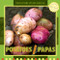 Potatoes / Papas (Bilingual Edition) by Inés Vaughn, 9781435827288