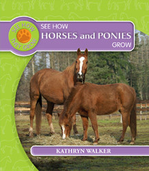 See How Horses and Ponies Grow by Kathryn Walker, 9781435828322
