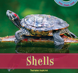 Shells - 9781435830707 by Therese Hopkins, 9781435830707