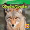 Coyotes / Coyotes (Bilingual Edition) by JoAnn Early Macken, 9781433920608