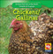 Chickens / Las gallinas (Bilingual Edition) by JoAnn Early Macken, 9781433924279
