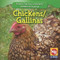Chickens / Las gallinas - 9781433924712 by JoAnn Early Macken, 9781433924712