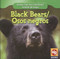 Black Bears / Osos Negros by JoAnn Early Macken, 9781433924859