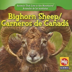 Bighorn Sheep / Carnero de Canadá (Bilingual Edition) by JoAnn Early Macken, 9781433924996