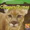 Cougars / Puma - 9781433925016 by JoAnn Early Macken, 9781433925016