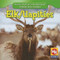 Elk / Uapitíes (Bilingual Edition) by JoAnn Early Macken, 9781433925023