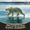 What Can We Do About Global Warming? by Lorijo Metz, 9781404280793